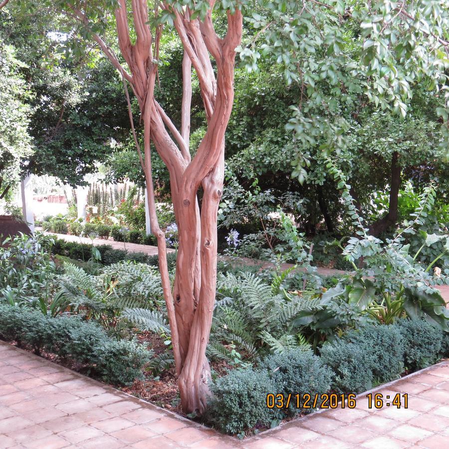 Hotel Boutique Quinta Maria Санта Крус Екстериор снимка