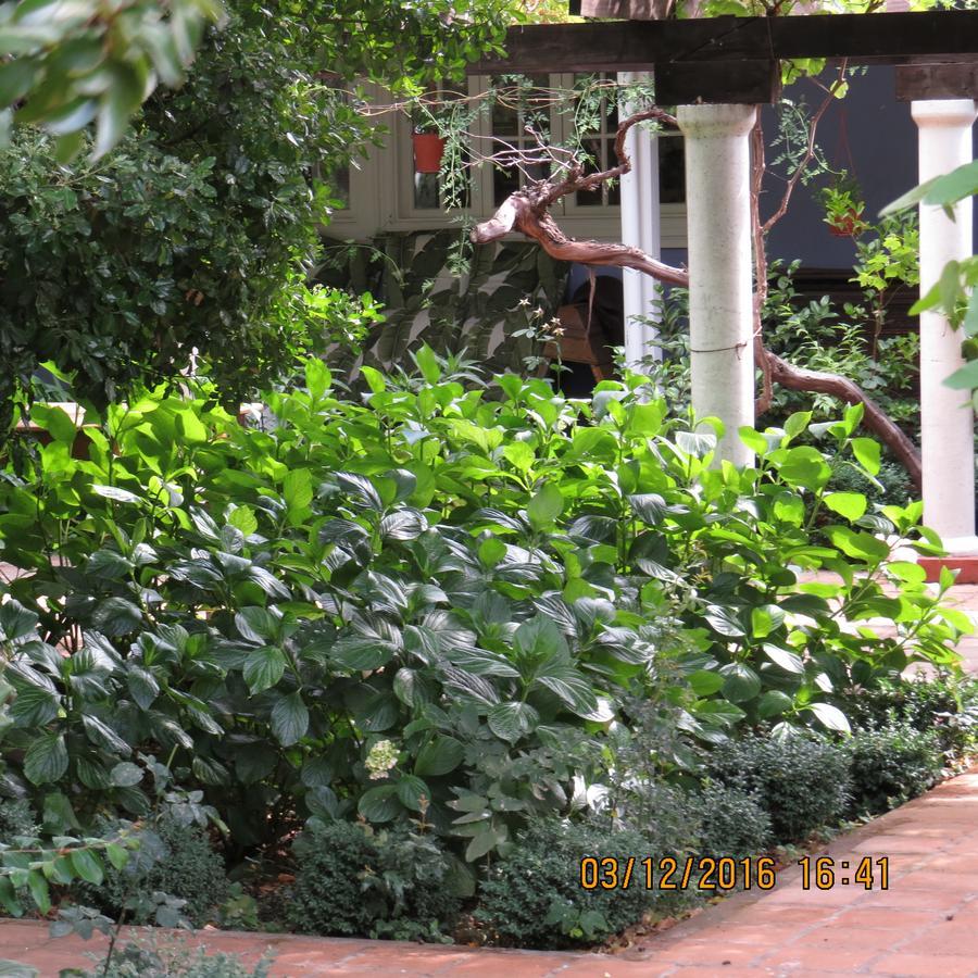 Hotel Boutique Quinta Maria Санта Крус Екстериор снимка