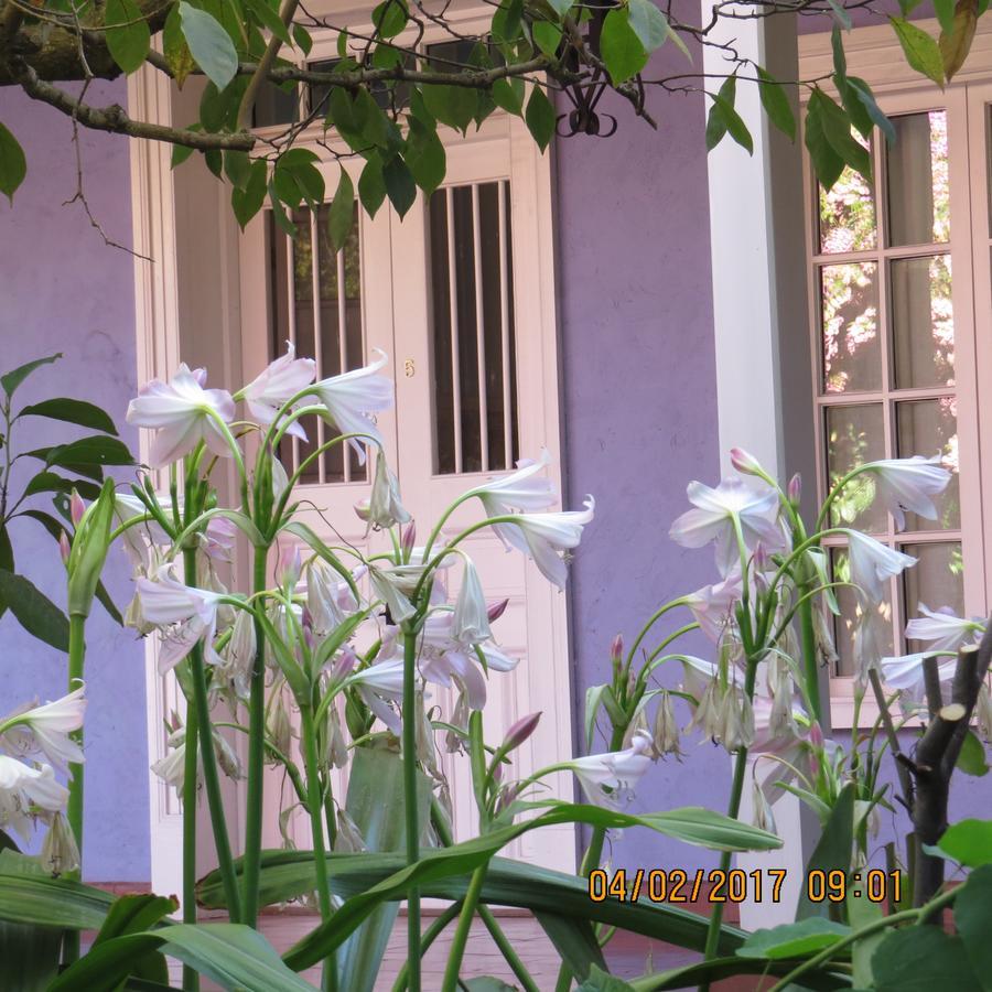 Hotel Boutique Quinta Maria Санта Крус Екстериор снимка