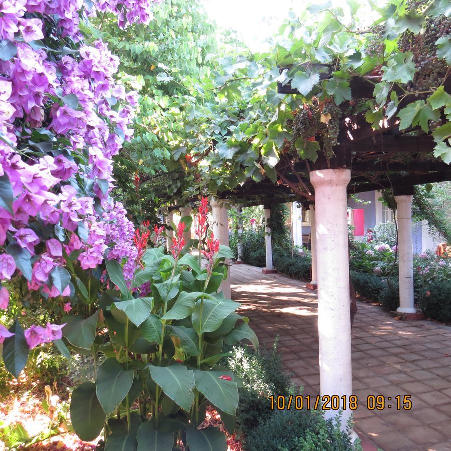 Hotel Boutique Quinta Maria Санта Крус Екстериор снимка